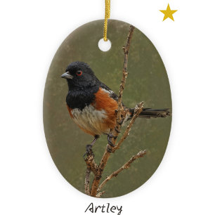 Adorno De Cerámica Naranja se dirigió a Navidades de Año de Pintura d