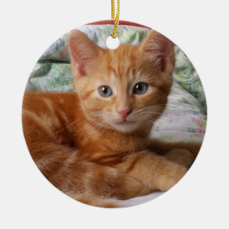 Adorno De Cerámica Naranja Tabby Kitten Ornament