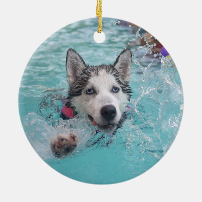 Adorno De Cerámica Natación linda del perro en piscina (Atrás)