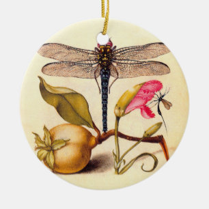 Adorno De Cerámica Naturaleza Botánica Libélula Arte Hoefnagel