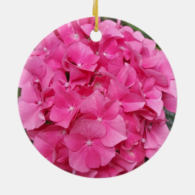 Adorno De Cerámica Naturaleza de la fotografía floral rosa (Atrás)