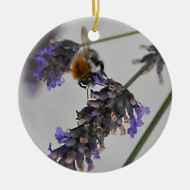 Adorno De Cerámica Naturas trabajadores maravillosos (Frente)