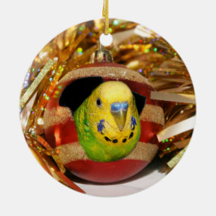 Adorno De Cerámica Naughty parakeet Christmas