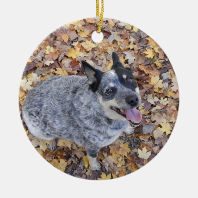 ADORNO DE CERÁMICA NAVIDAD AZUL ORNAME DEL PERRO AUSTRALIANO HEELER (Frente)