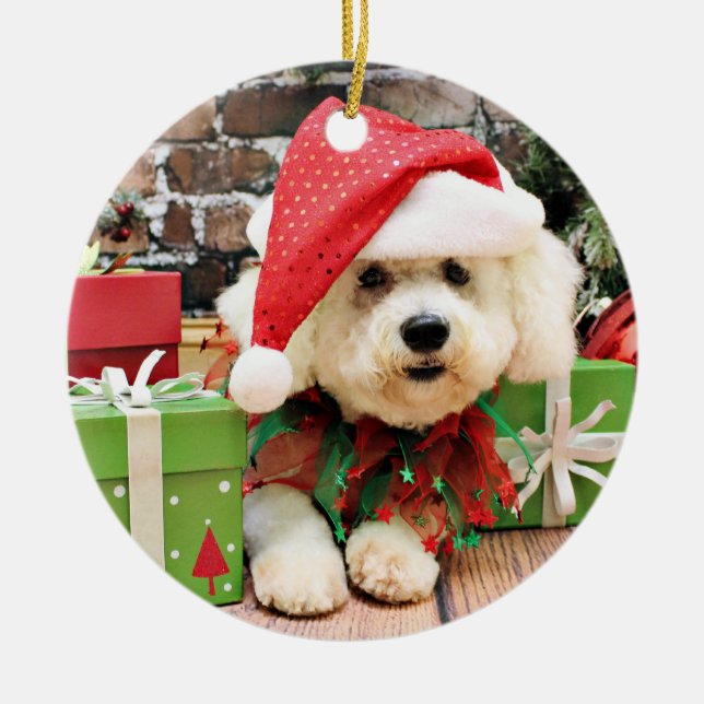 Adorno De Cerámica Navidad - Bichon Frise - margarita (Frente)