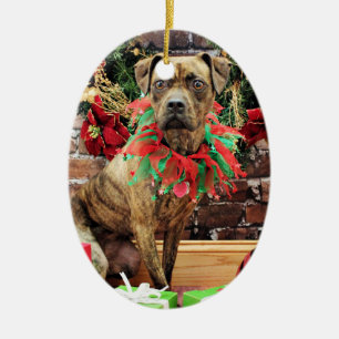 Adorno De Cerámica Navidad - boxeador X - Kita