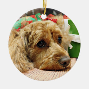 Adorno De Cerámica Navidad - Cockapoo - Odie
