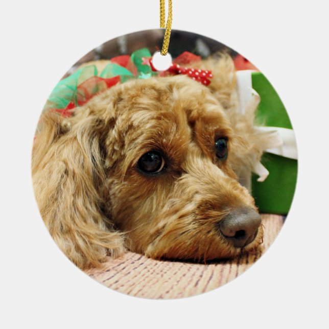 Adorno De Cerámica Navidad - Cockapoo - Odie (Frente)
