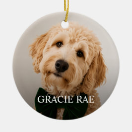 Adorno De Cerámica Navidad con foto de mascota moderna simple persona