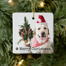 Adorno De Cerámica Navidad con foto de mascota personalizada