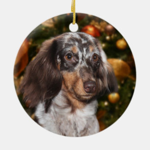 Adorno De Cerámica Navidad Dappled del Dachshund