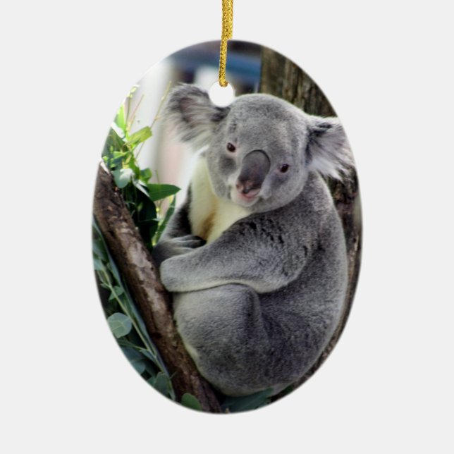 Adorno De Cerámica Navidad de la koala (Frente)