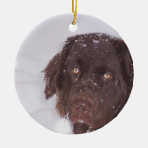 Adorno De Cerámica Navidad del chica de Newfy