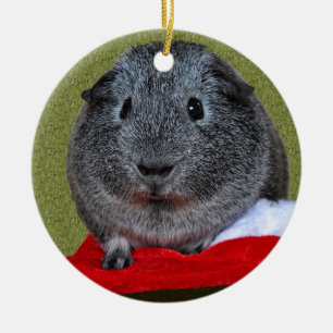 Adorno De Cerámica Navidad del conejillo de Indias