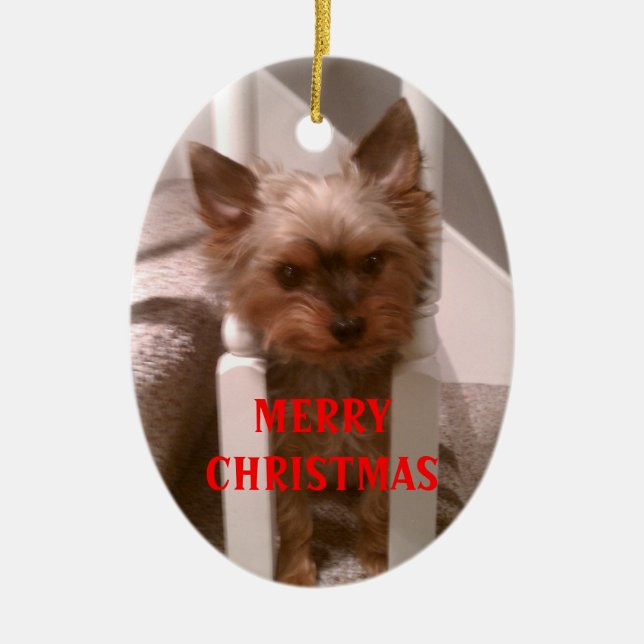 Adorno De Cerámica Navidad Felices de un Yorkie (Frente)