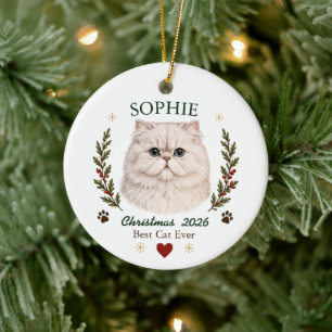 Adorno De Cerámica Navidad Gato Persa Personalizada