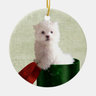 Adorno De Cerámica Navidad maltés del perrito