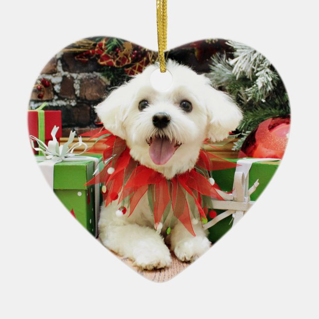 Adorno De Cerámica Navidad - maltés - Miley (Frente)