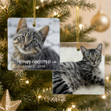 NAVIDAD MEOWY Foto Nombre Gato