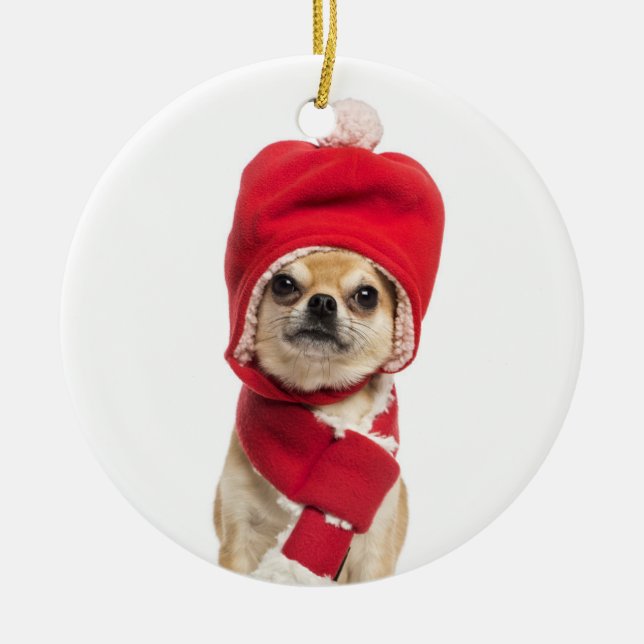 Adorno De Cerámica Navidad que lleva gorra y bufanda de la chihuahua (Frente)