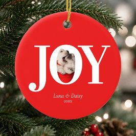 Adorno De Cerámica Navidad Roja Alegría Foto de Mascota Personalizada