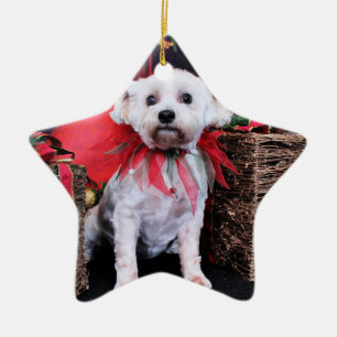Adorno De Cerámica Navidad - Schnoodle - Zoey