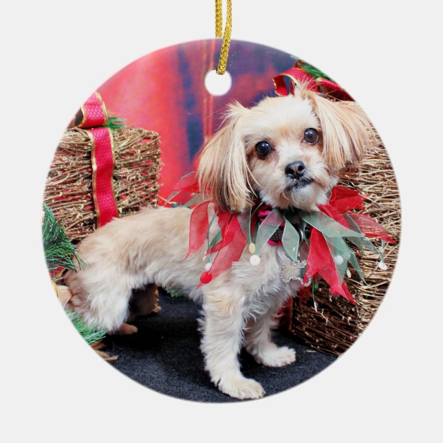 Adorno De Cerámica Navidad - Shorkie - Charlie (Frente)
