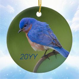 Adorno De Cerámica Navidades anuales de Bluebird