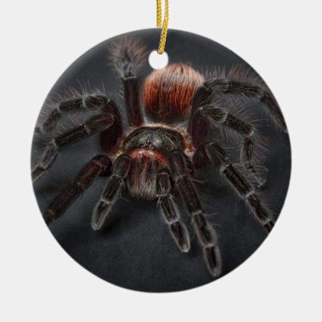Adorno De Cerámica Navidades de araña de Tarantula personalizados (Frente)