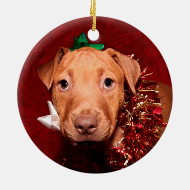 Adorno De Cerámica Navidades de cachorros de Pitbull (Atrás)