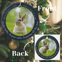 Navidades de fotografía de Mascota Navy Rabbit Bun
