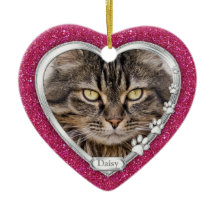 Navidades de fotografía en memoria de gato Mascota