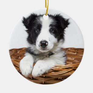 Adorno De Cerámica Navidades de fotografía Mascota y monograma perso