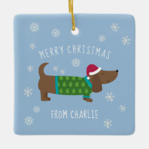 Navidades de fotos de Cute Daschund