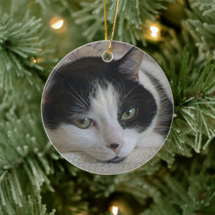 Adorno De Cerámica Navidades de fotos de gatos