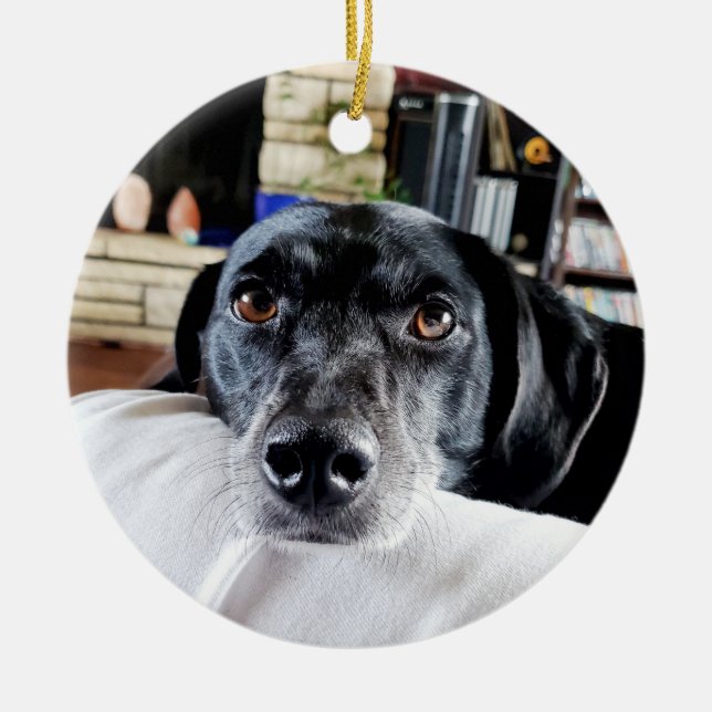Adorno De Cerámica Navidades de fotos de perros personalizados (Frente)