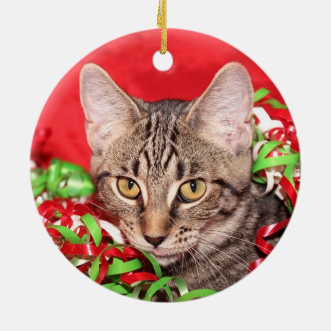 Adorno De Cerámica Navidades de gato de Tabby (Atrás)