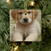 Navidades de imagen de foto doble personalizado