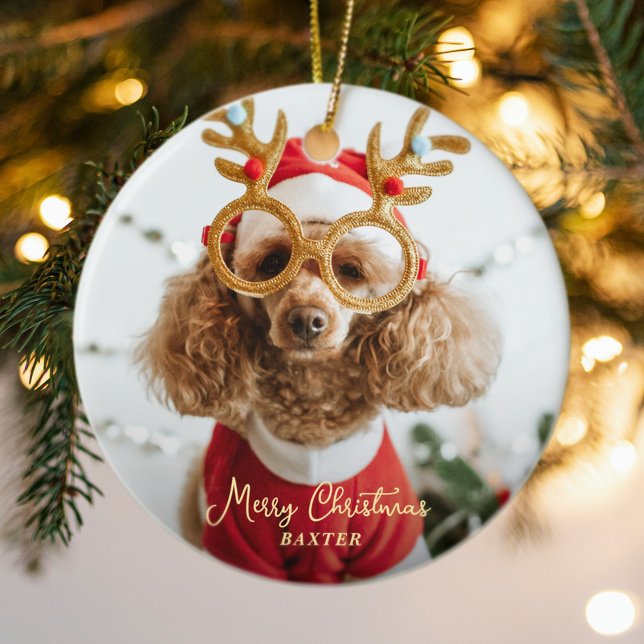 Adorno De Cerámica Navidades de Mascota lindo foto perro travieso cac (Cute Pet Christmas Photo Naughty Dog Funny Puppy Ceramic Ornament)