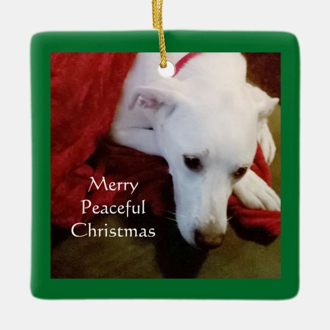 Adorno De Cerámica Navidades de paz de perro blanco y lechoso verde (Anverso)
