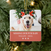 Navidades de perros foto moderna Felices pasadas