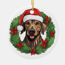 Navidades de Plott Hound