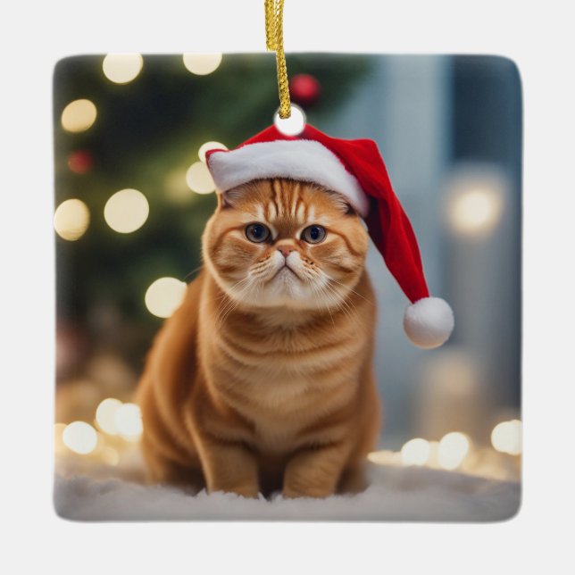 Adorno De Cerámica Navidades de Shorthair exóticos (Anverso)