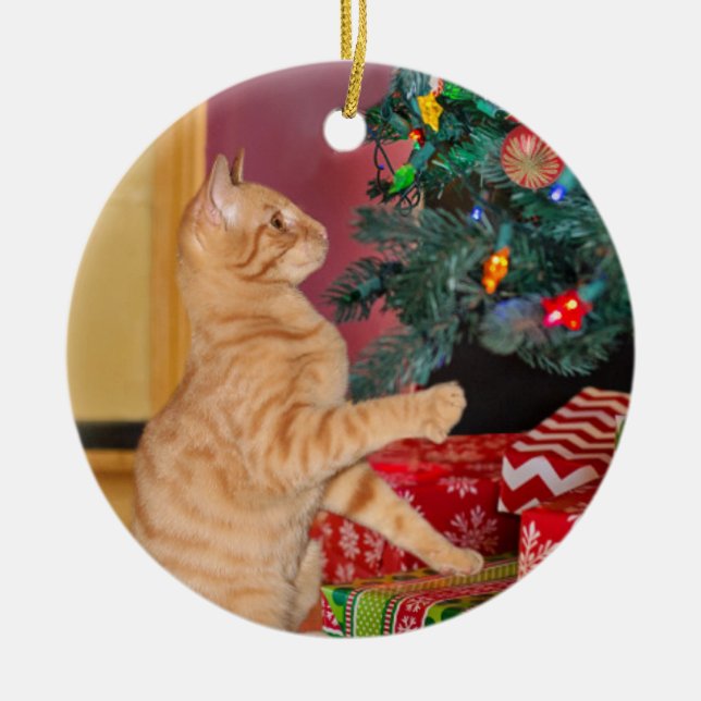 Adorno De Cerámica Navidades de Tabby, Naranja lúdico (Frente)