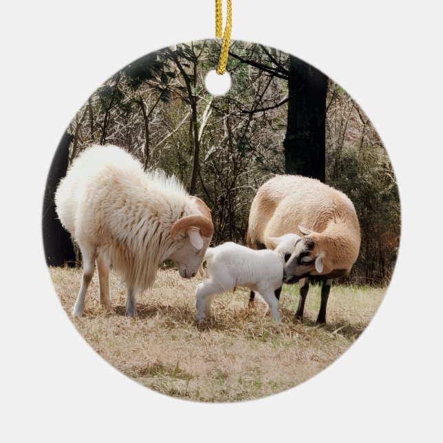 Adorno De Cerámica Navidades de una granja (Frente)