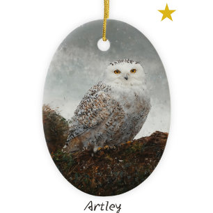 Adorno De Cerámica Navidades del año de la pintura de aves con nevada
