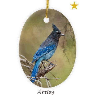 Adorno De Cerámica Navidades del año de la pintura de pájaros Jay de