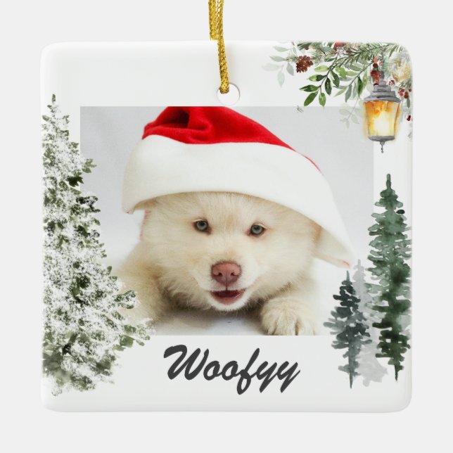 Adorno De Cerámica Navidades del paisaje acuático de invierno Mascota (Anverso)
