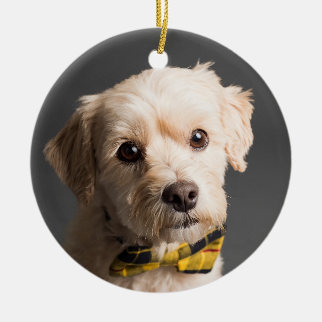 Adorno De Cerámica NAVIDADES fotográficos de Personalizado DIY (Frente)