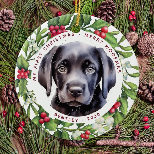 Adorno De Cerámica Navidades frente a la pandemia Santa Dog 2020 (Subido por el creador)